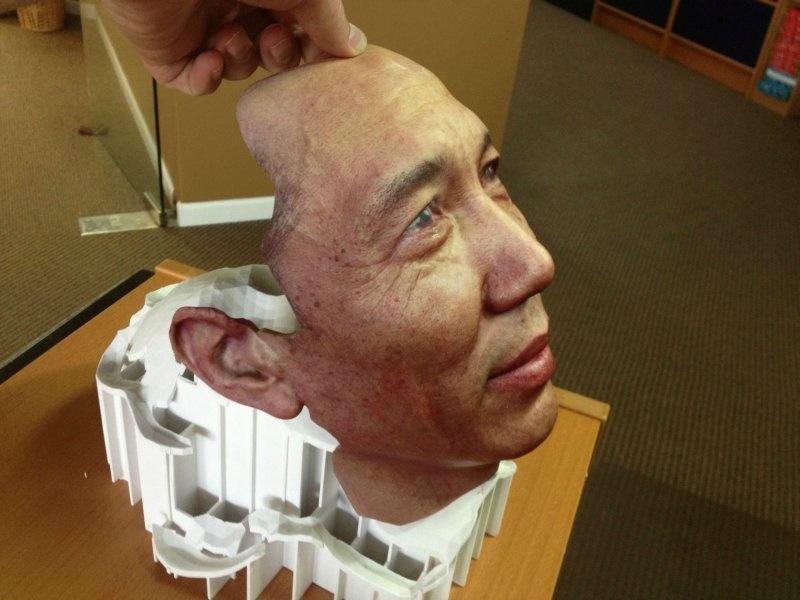 A 3d printed face. 