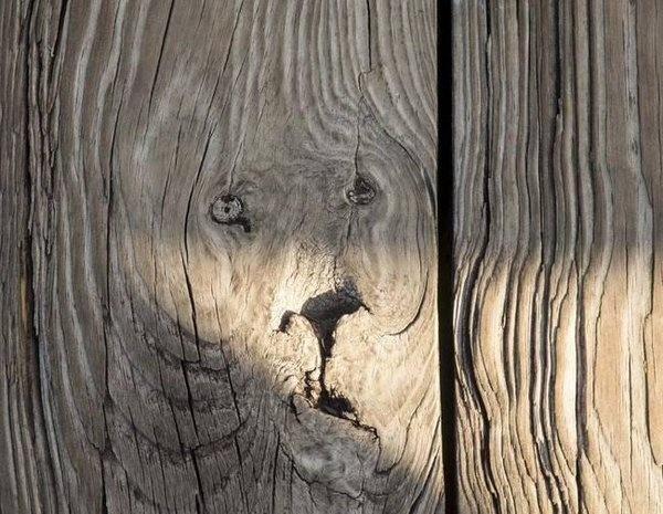 Don't know about you, but we see a lion here.