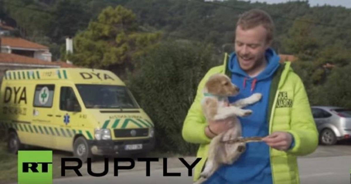 Ναυαγοσώστης στη Λέσβο υιοθέτησε σκύλο που βρήκε σε βάρκα προσφύγων