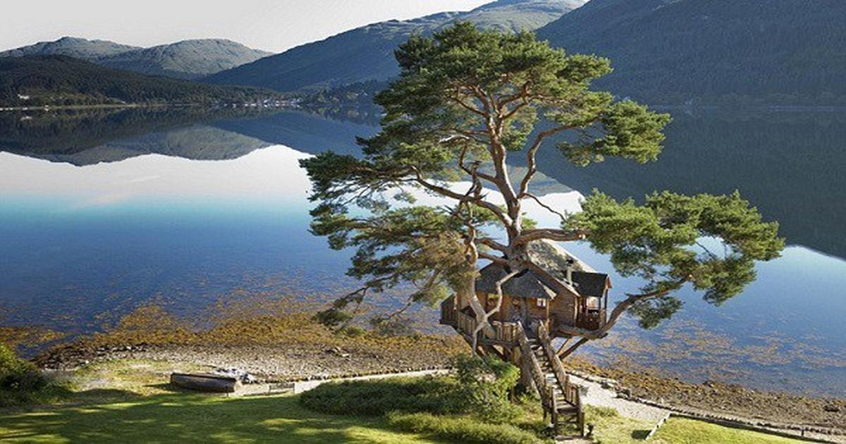 Δενδρόσπιτο βγαλμένο από παραμύθι με φόντο το μαγευτικό τοπίο της Σκωτίας- Δείτε φωτογραφίες