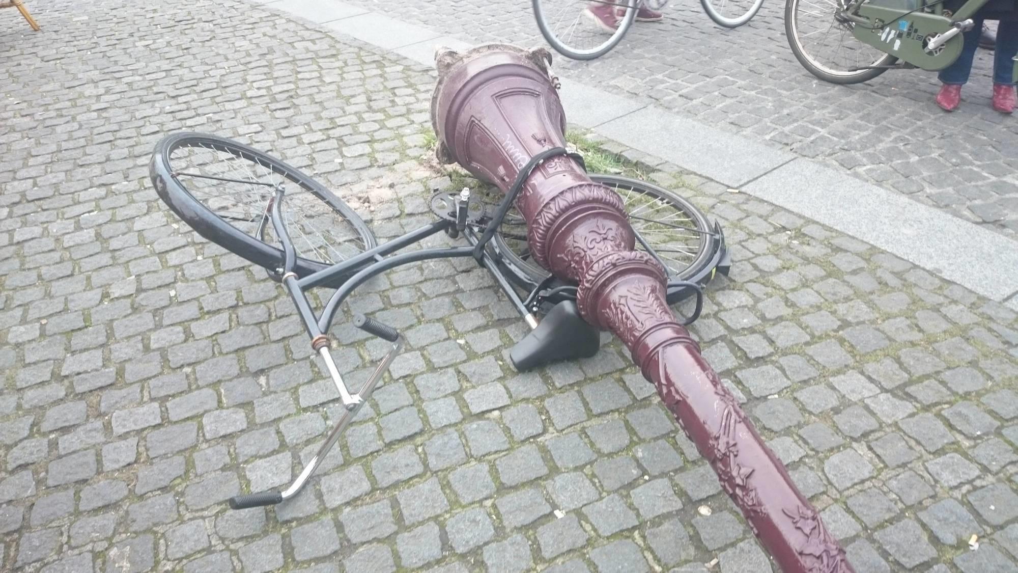 The owner of this bike. 