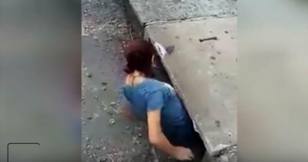 woman_climbs_into_sewer_to_save_kitten_featured