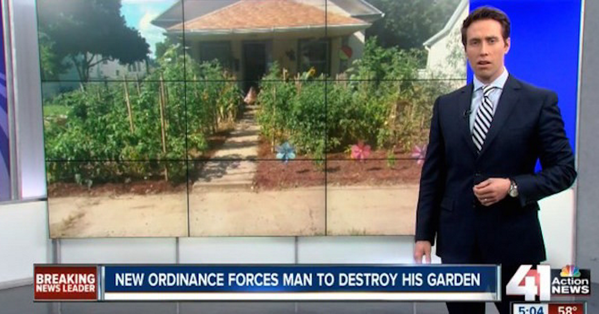 Παράνομοι οι λαχανόκηποι στις ΗΠΑ. Οικογένεια διατάχθηκε να καταστρέψει κήπο της!