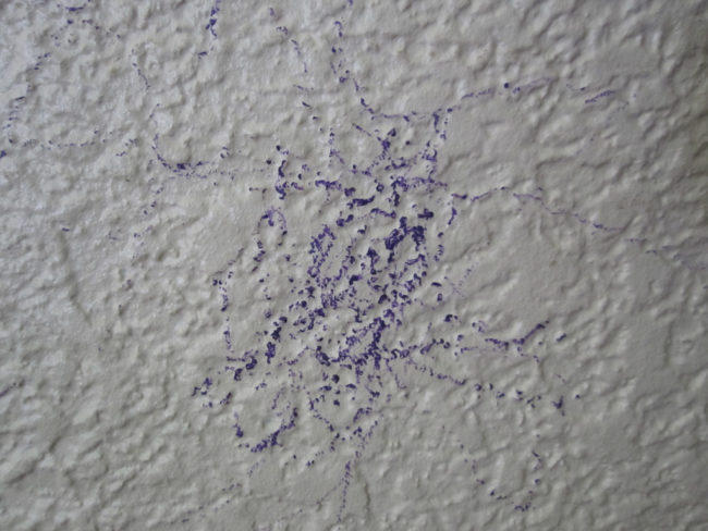 Buff out crayon marks on your walls with some toothpaste and a soft rag.