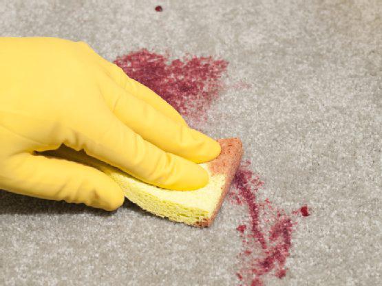 If you stained your carpet, scrub it with toothpaste and a toothbrush -- rinse and repeat until the blemish is gone.