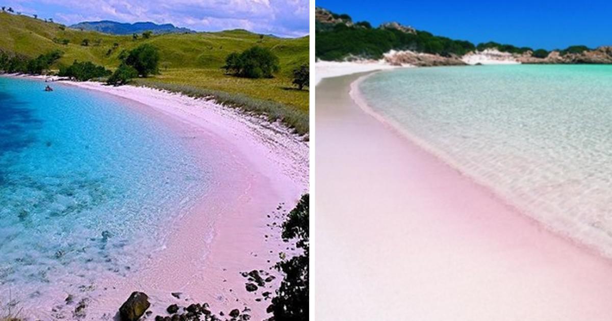 Αυτές είναι οι ωραιότερες ροζ παραλίες στον κόσμο! Στη λίστα και 2 ελληνικές…