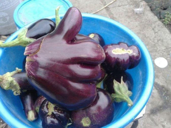 Thumbs Up Eggplant 