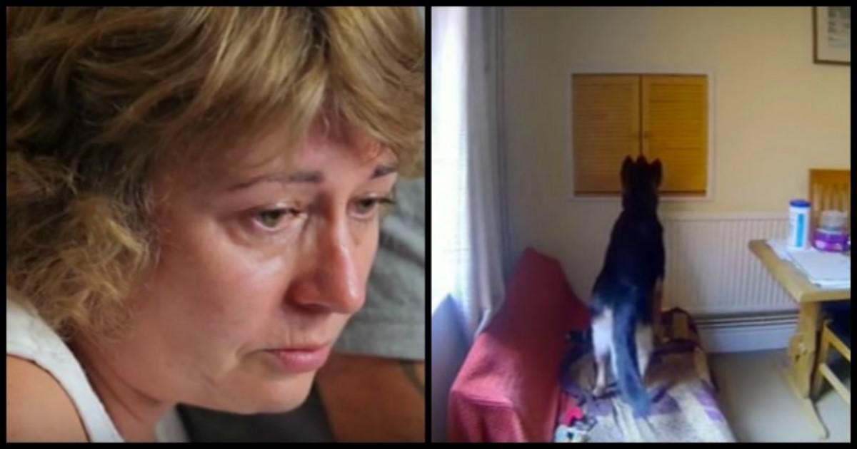 Τοποθέτησε κρυφή κάμερα για να δει τι κάνει ο σκύλος της όταν αυτή λείπει από το σπίτι. Αυτό που κατέγραψε σπάραξε την καρδιά μας…