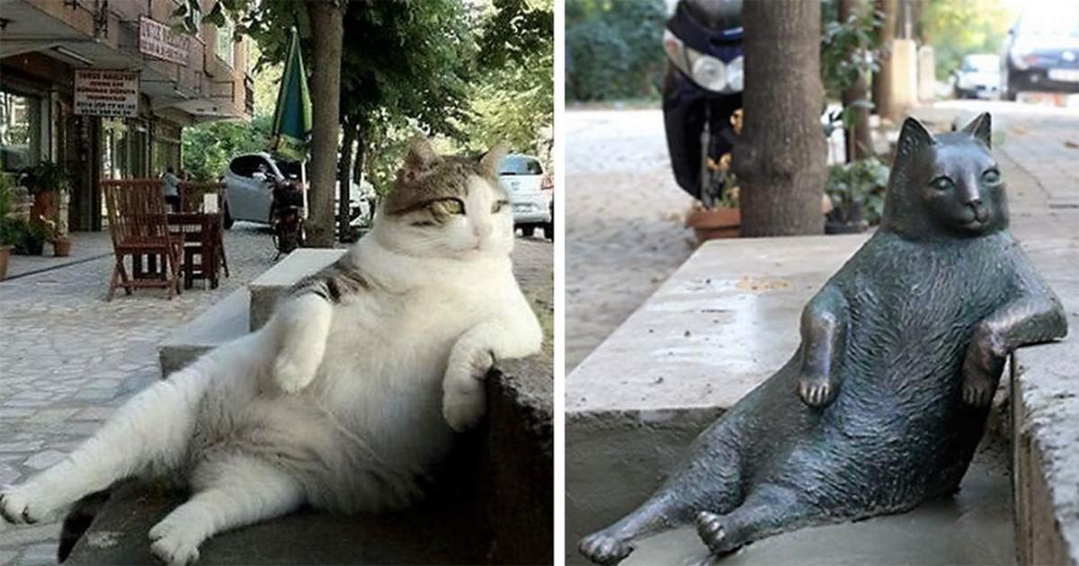 O πιο διάσημος γάτος της Κωνσταντινούπολης τιμήθηκε με το δικό του άγαλμα στο αγαπημένο του σημείο.
