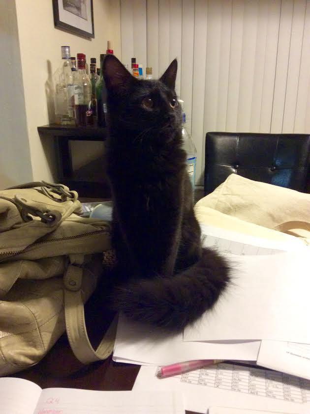 "Don't leave me alone with all this paperwork."
