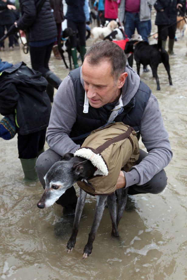 Hundreds of dog lovers turn out on a rainy day to share Walnut the dog's last walk, Newquay