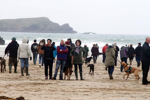Hundreds of dog lovers turn out on a rainy day to share Walnut the dog's last walk, Newquay