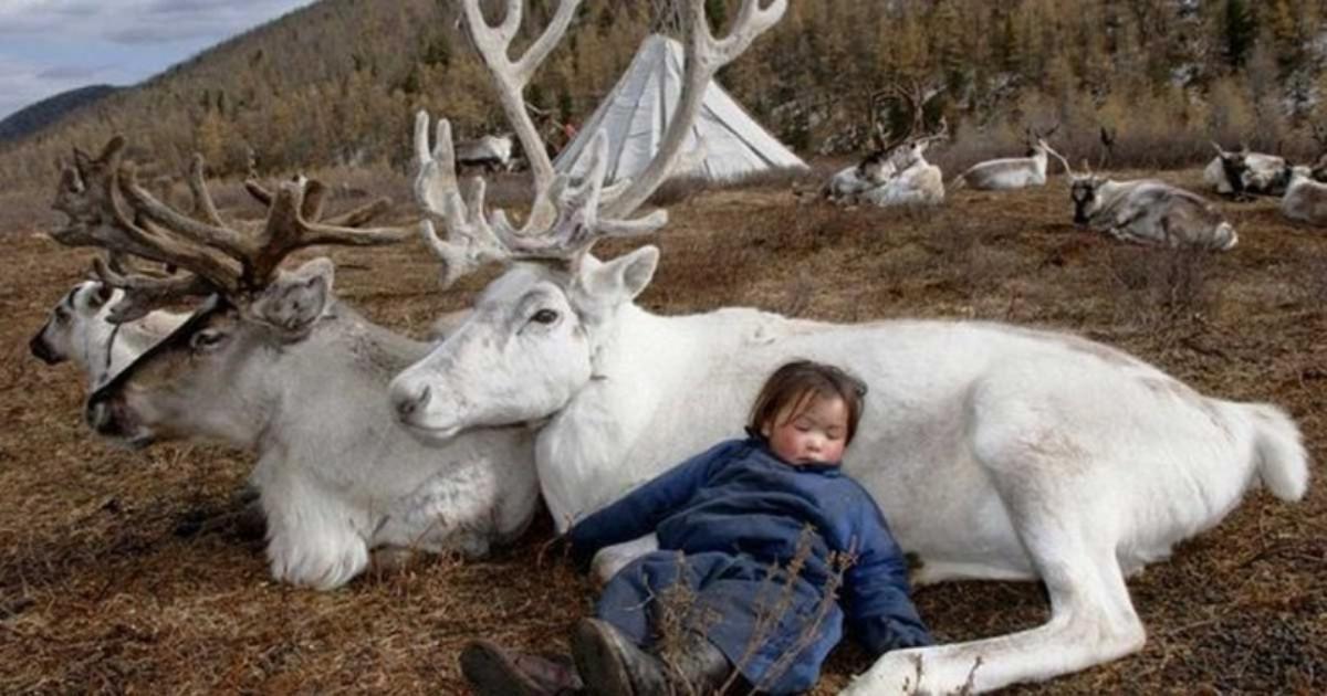 16 συγκλονιστικές φωτογραφίες από τη ζωή και την κουλτούρα της τελευταίας Μογγολικής φυλής που θα σας κόψουν την ανάσα