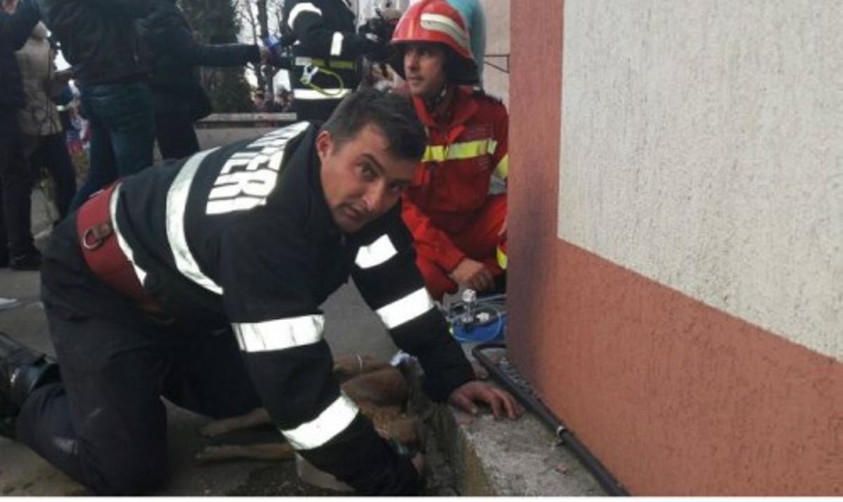 Ήρωας για τη Ρουμανία ένας πυροσβέστης που έσωσε τη ζωή ενός σκύλου δίνοντάς του «το φιλί της ζωής»