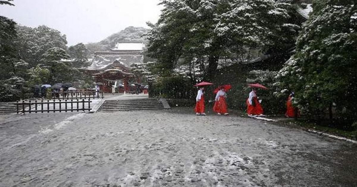 Η μαγεία του χιονισμένου Τόκιο που ντύθηκε φέτος στα λευκά μετά από 54 χρόνια