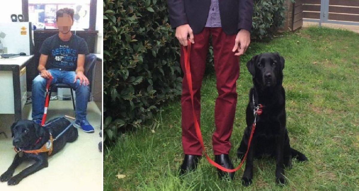 Από φόλα πέθανε, όπως όλα δείχνουν, ένας από τους ελάχιστους σκύλους-οδηγούς τυφλών στην Ελλάδα