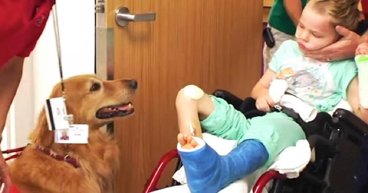 Ένα άρρωστο παιδί «παραιτημένο» απ’ τη ζωή πετυχαίνει μια θεαματική ανάρρωση όταν γνωρίζει ένα σκύλο θεραπείας