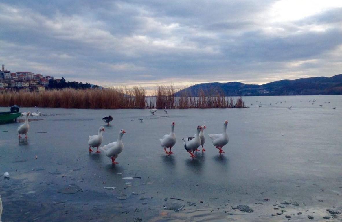 Πάγωσαν οι λίμνες Καστοριάς και Χειμαδίτιδας από τις χαμηλές θερμοκρασίες
