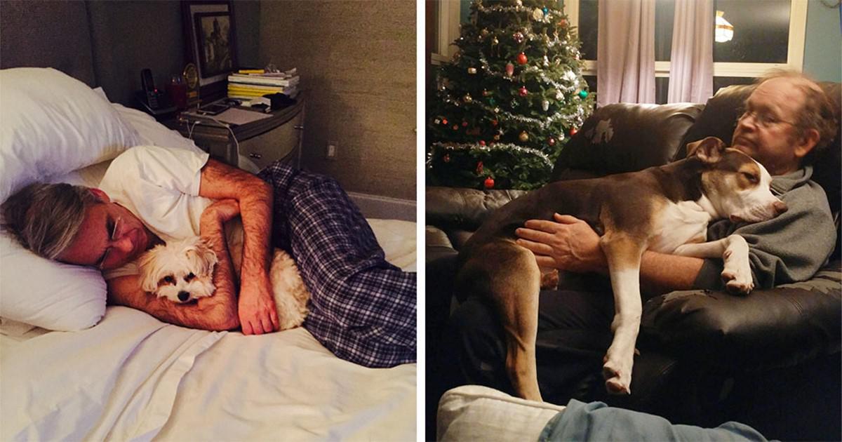 40 μπαμπάδες που αρχικά δεν ήθελαν κάποιον σκύλο στο σπίτι τους αλλά στο τέλος τον αγάπησαν