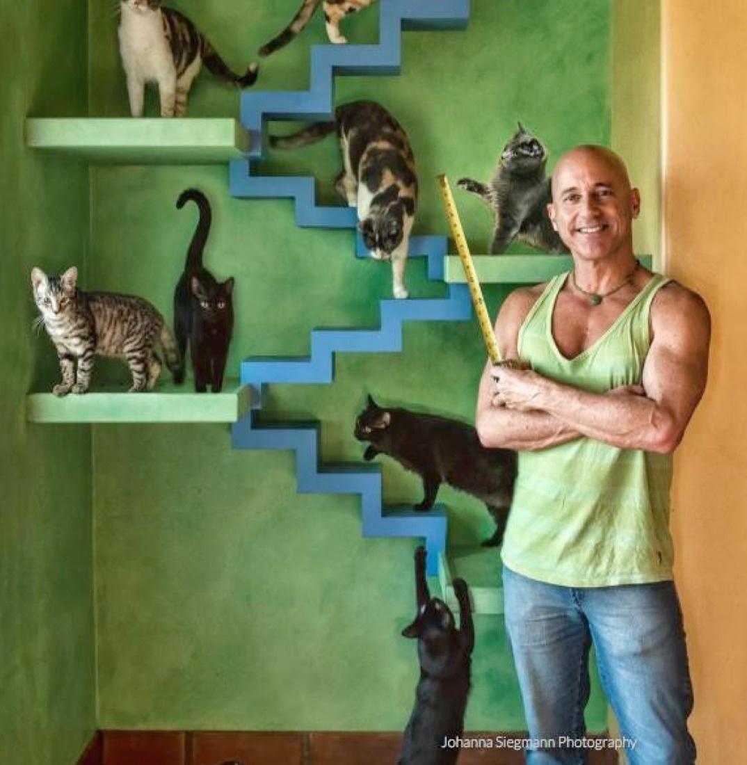 Cohen, co-founder of Trilium Enterprises, lives in a 3,000 square foot cat heaven in Goleta, California, with his 22 felines.