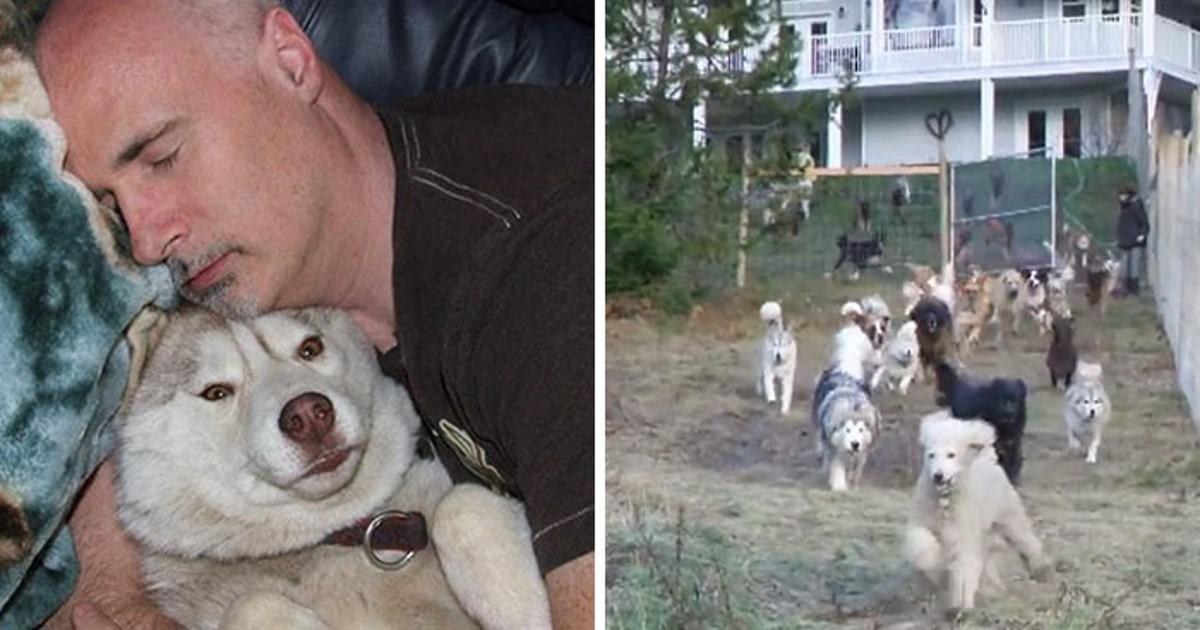 Όταν αυτός ο άνδρας υιοθέτησε 45 σκύλους από καταφύγια ζώων σύντομα συνειδητοποίησε ότι αξίζουν ένα καλύτερο μέλλον και έκανε κάτι εκπληκτικό