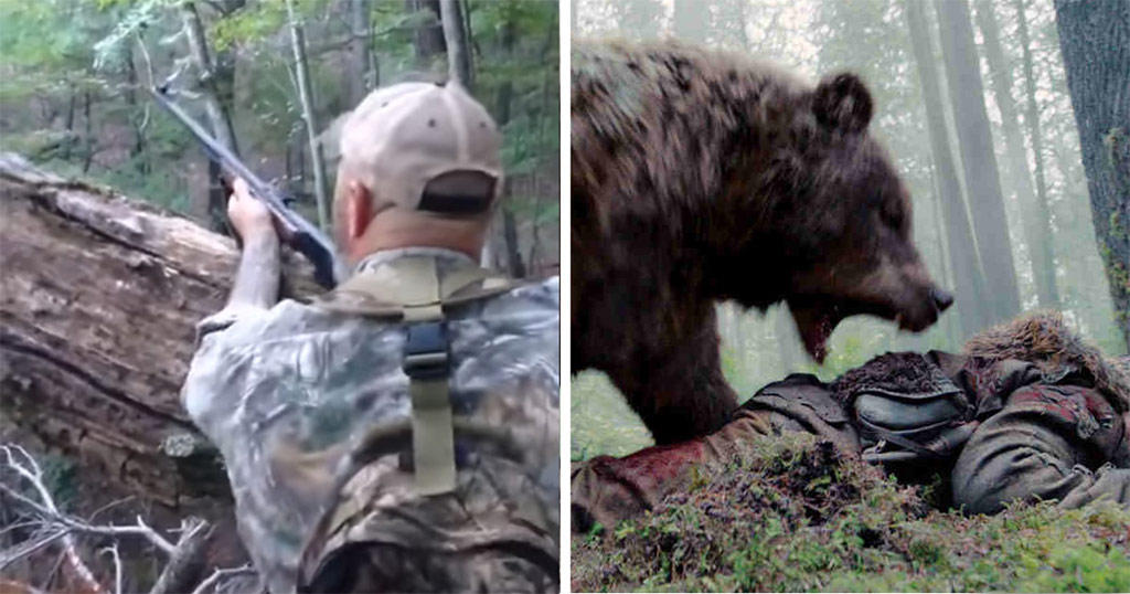 Αρκούδα προσποιείται την νεκρή και μετά επιτίθεται στον κυνηγό που της επιτέθηκε