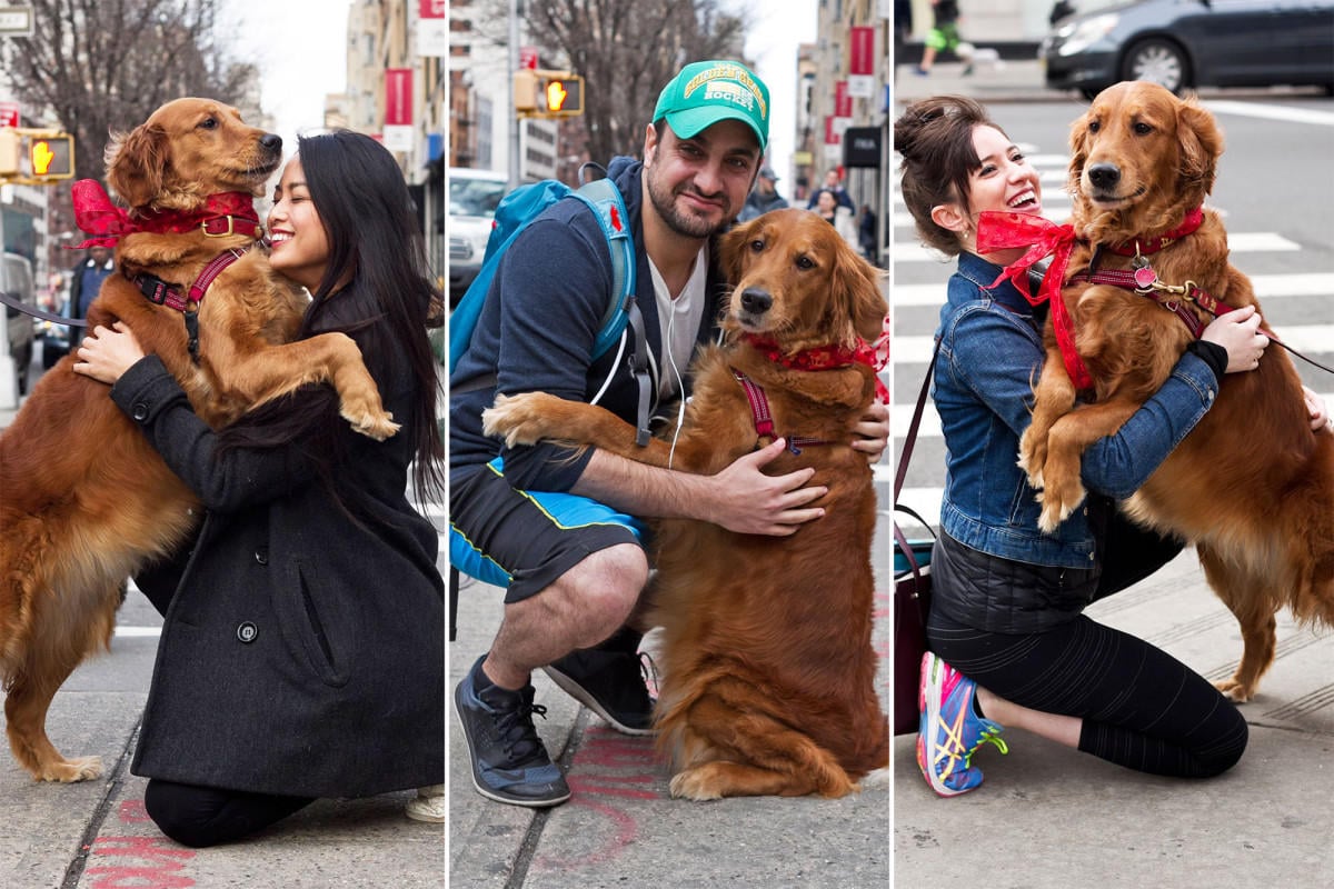 Γλύκας: Αξιαγάπητος σκύλος αγκαλιάζει τους περαστικούς γιατί θέλει να τους βλέπει όλους χαρούμενους