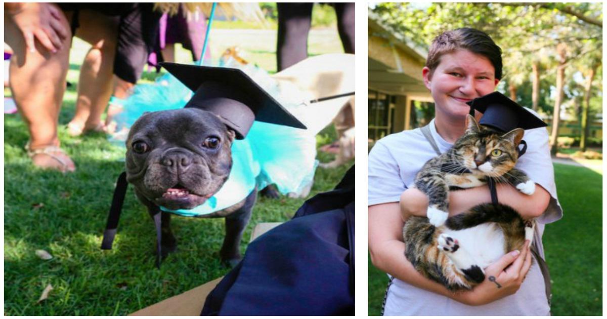Σε αυτό το «κολέγιο» κάνουν μια ξεχωριστή τελετή αποφοίτησης μιας και οι μαθητές είναι…κατοικίδια ζώα