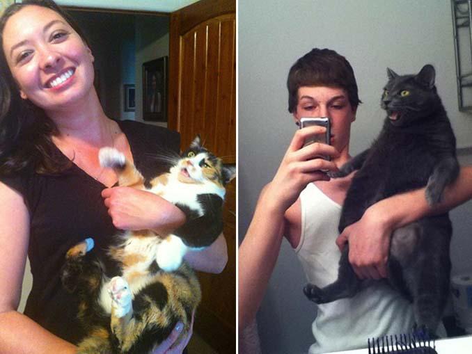 Αυτές οι γάτες σιχαίνονται τις selfies (15)