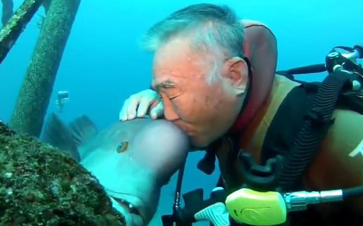Αυτός ο Ιάπωνας δύτης είναι φίλος με ένα ψάρι εδώ και 25 χρόνια