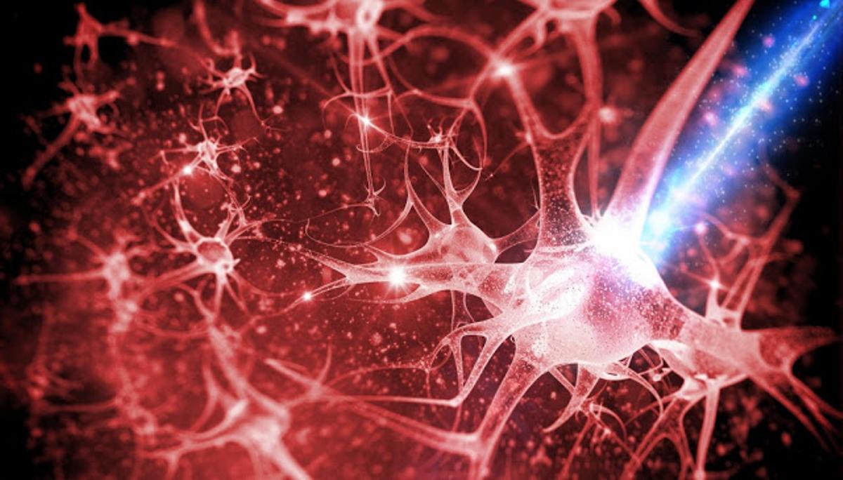 Πώς να εκπαιδεύσετε τον εγκέφαλό σας ώστε να απαλλαχθείτε από συνήθειες – 10 μέθοδοι για να δημιουργήσετε νέες νευρικές οδούς