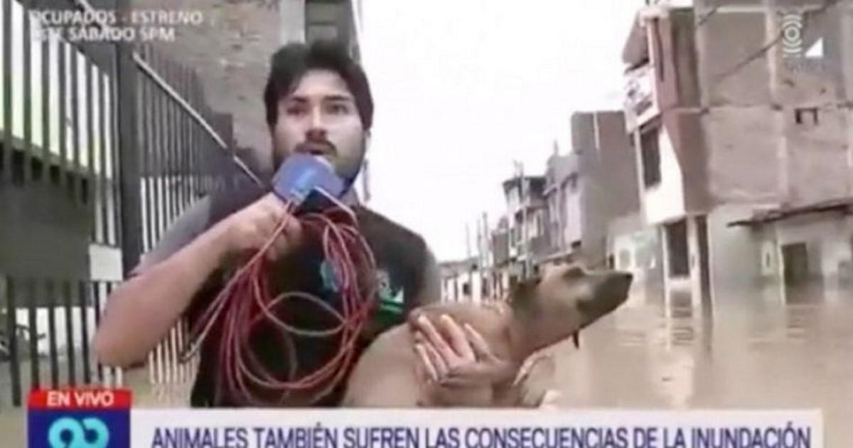 Δημοσιογράφος διακόπτει τη ζωντανή σύνδεση για να σώσει σκυλάκι από πνιγμό