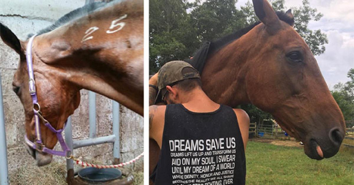 Άνδρας σώζει άλογο από το σφαγείο, δείτε όμως την αντίδραση του ζώου τη στιγμή που το αφήνει ελεύθερο