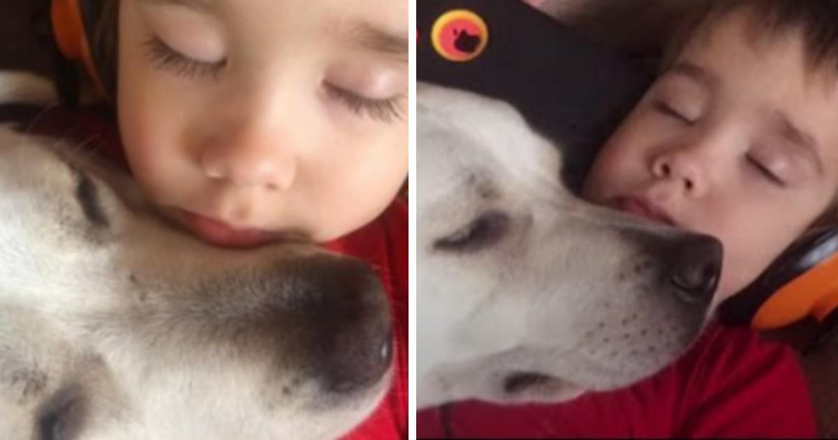 Το πιο συγκινητικό βίντεο: Σκύλος βοηθάει παιδάκι με αυτισμό