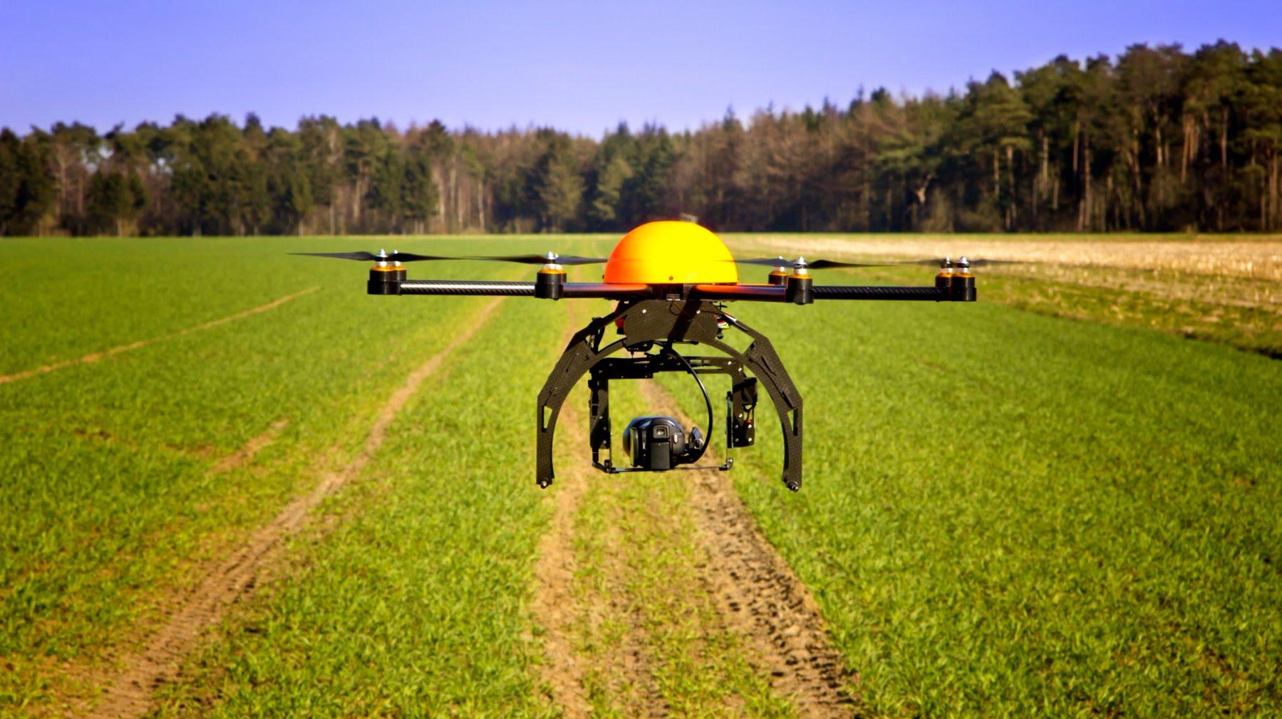 Ομάδα χωρικών χρησιμοποιεί drones για να φυτέψει ολόκληρο δάσος