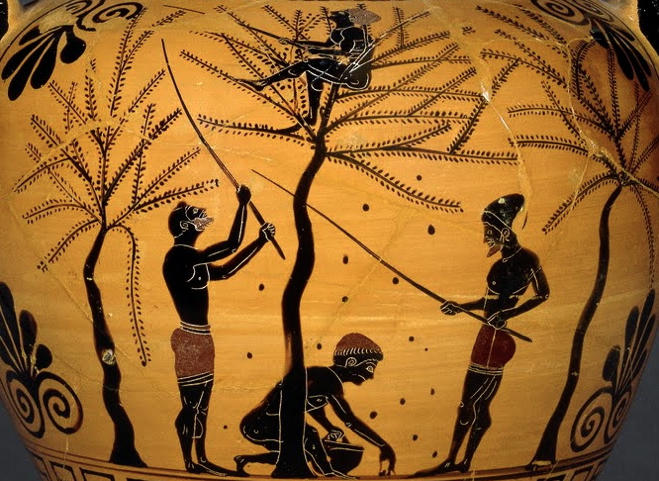Τι έτρωγαν οι Αρχαίοι Eλληνες; – Αυτά ήταν τα μυστικά της ευζωίας τους