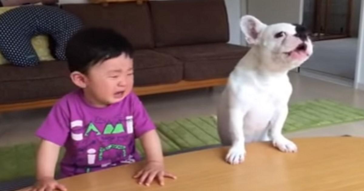Σκύλος τρώει το φαγητό του μωρού και στο τέλος κλαίει μαζί του