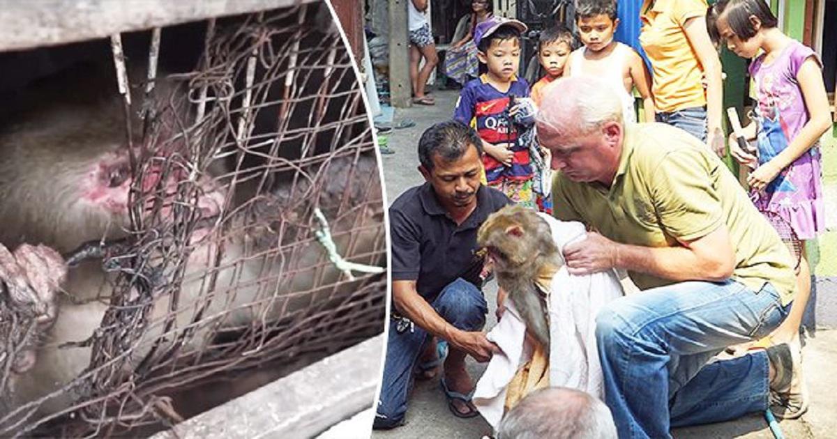 Μαϊμού που έμεινε φυλακισμένη χωρίς φως σε μικροσκοπικό κλουβί για 25 χρόνια διασώζεται και αφήνεται ελεύθερη