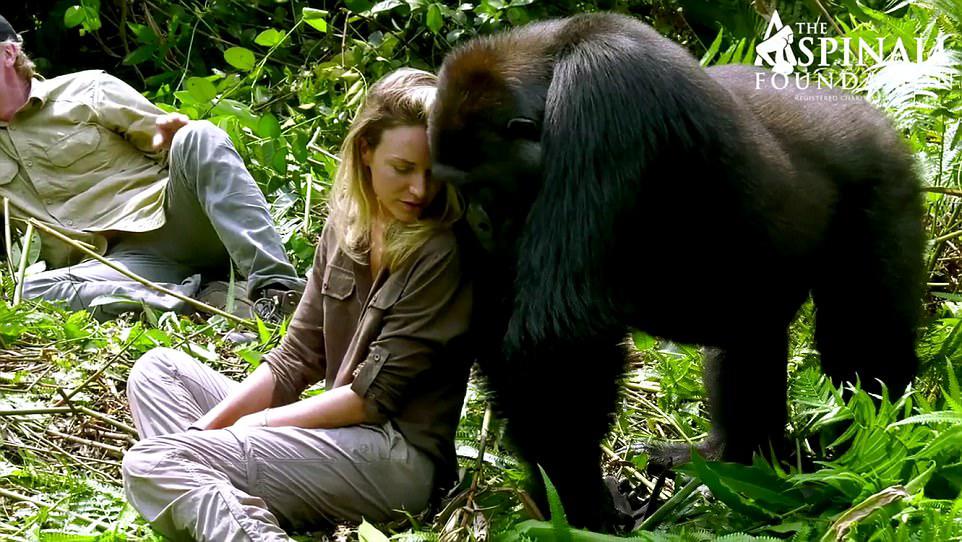 Mrs Aspinall said: ¿I hope that watching these gorillas, happy and free, will inspire those who believe, as we do, that the place for wildlife is in the wild rather than in captivity¿