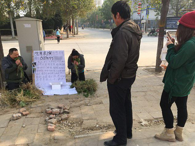 Sad: They left their account information on the signboard so people could wire them money 