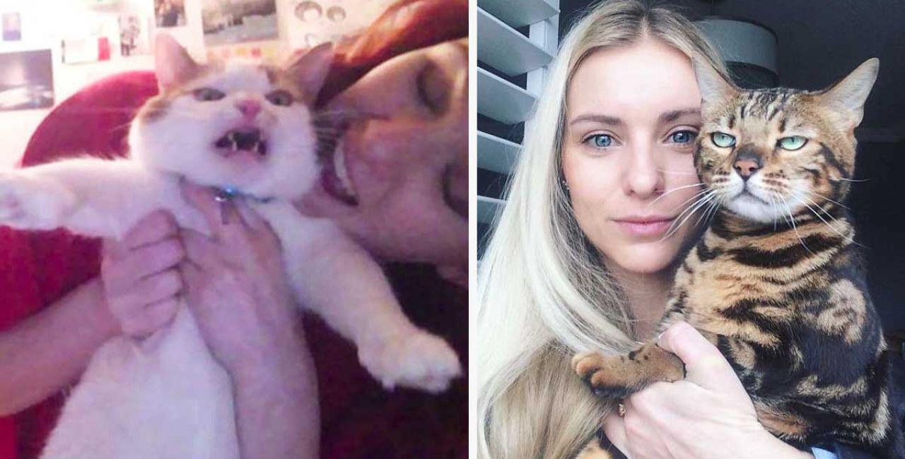 20 γάτες που απλά δεν έχουν καμία όρεξη για τις selfies σου