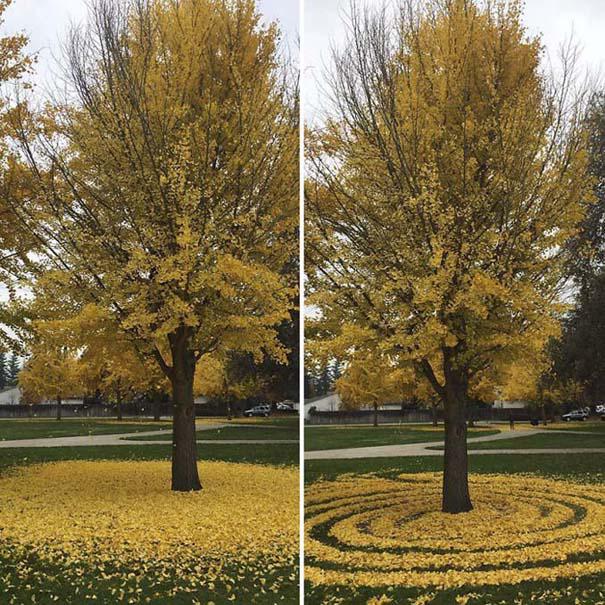 Καλλιτέχνιδα μετατρέπει πεσμένα φύλλα σε εκπληκτικά έργα τέχνης (5)