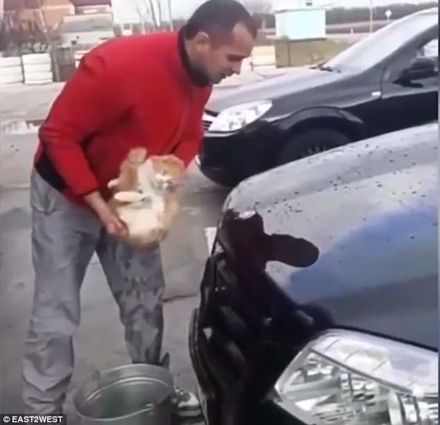 The cat can be heard crying in the clip, as it is rubbed on the black car while its owner holds on