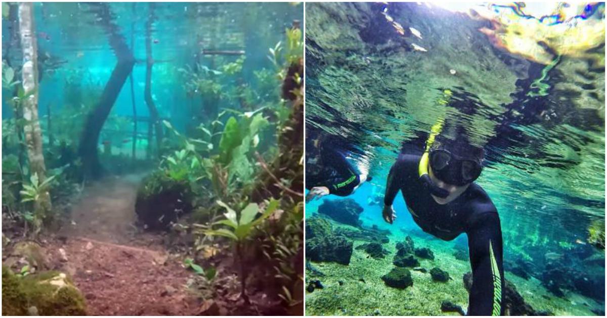 Τροπικό δάσος στη Βραζιλία βρίσκεται κάτω από το νερό και οι εικόνες είναι εντυπωσιακές
