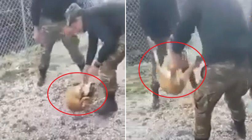 Ανακοίνωση από το ΓΕΣ για το βίντεο με τους φαντάρους που πέταξαν σκύλο σε γκρεμό