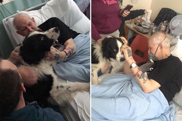 Νοσοκομείο εκπλήρωσε την τελευταία επιθυμία ετοιμοθάνατου να δει για τελευταία φορά το σκύλο του