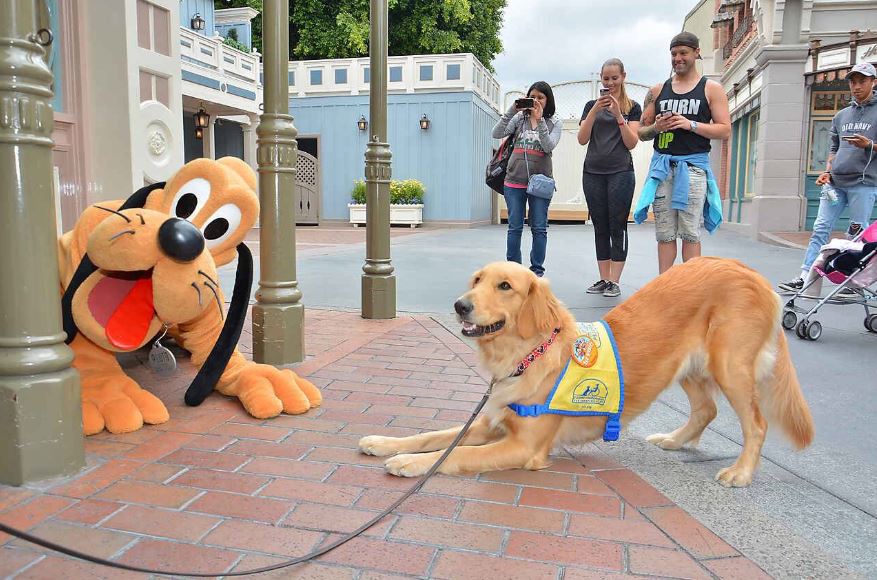 Σκύλος υπηρεσίας συνάντησε τον Πλούτο στην Ντίσνεϊλαντ και η χαρά του ήταν απερίγραπτη