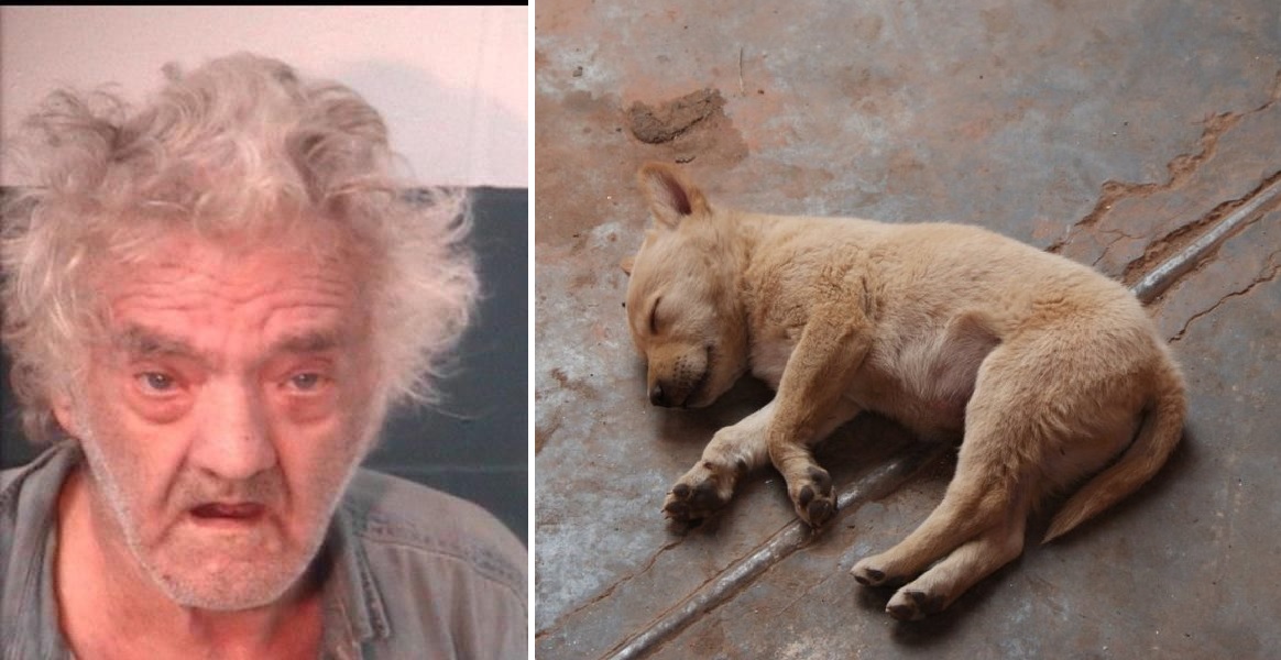 Αρρωστημένο:  Τον άφησαν ελεύθερο και συνουσιάστηκε ξανά με άλλο σκύλο ο ηλικιωμένος στην Αμαλιάδα