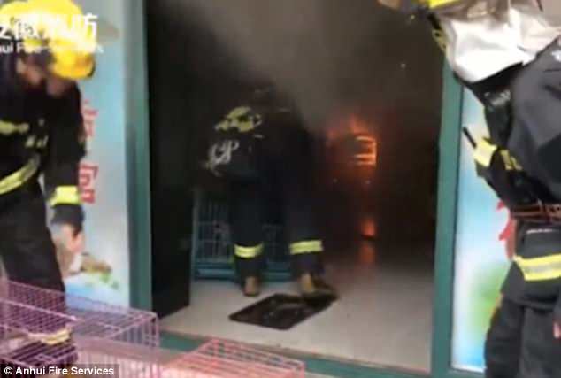 Firefighters had to pry open the metal gate of the store, which was not yet open for business