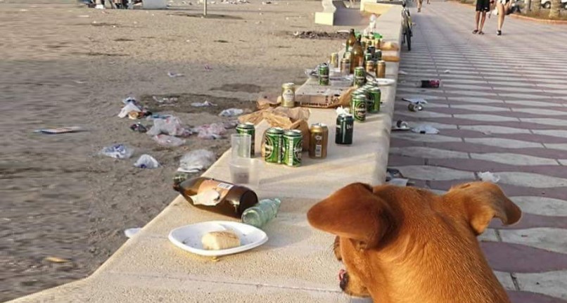 Οι άνθρωποι θα έπρεπε να απαγορευονται από την παραλία.. Όχι οι σκύλοι